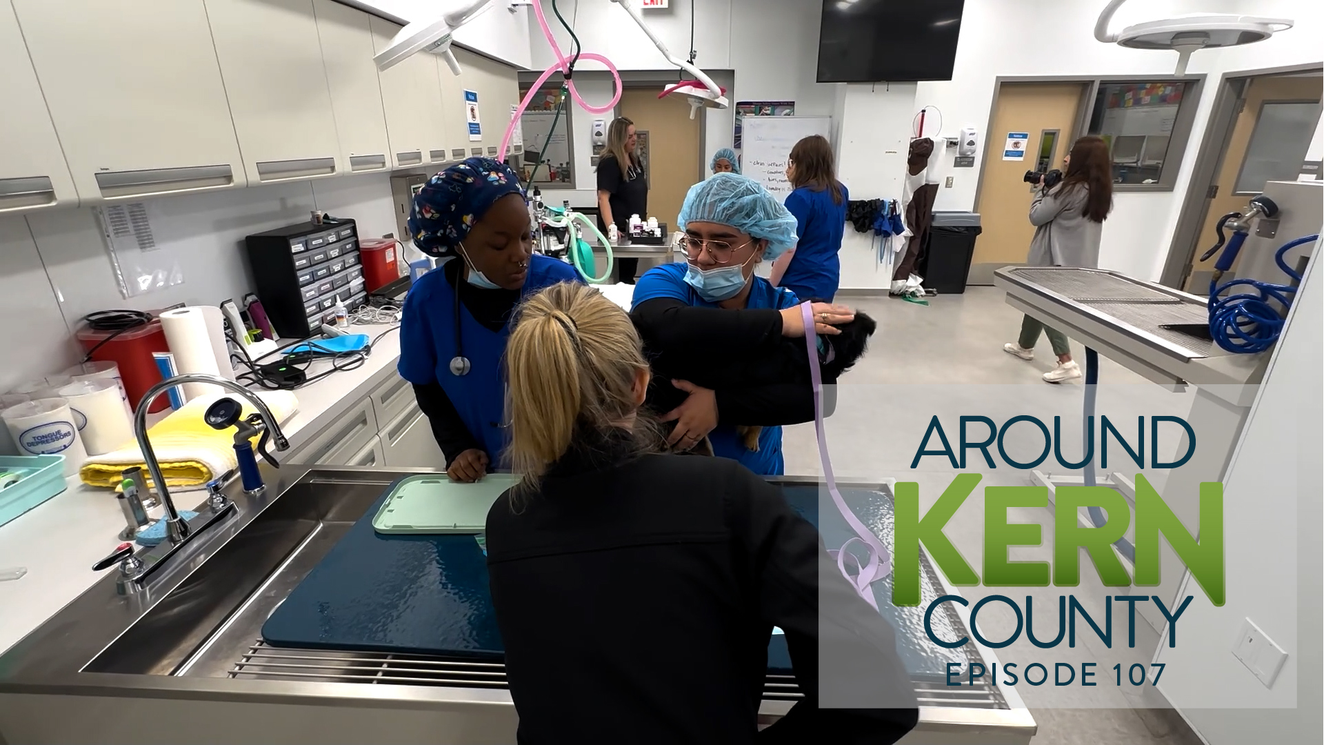 Photo of students in the ROC PETS Clinic prepping a dog for surgery
