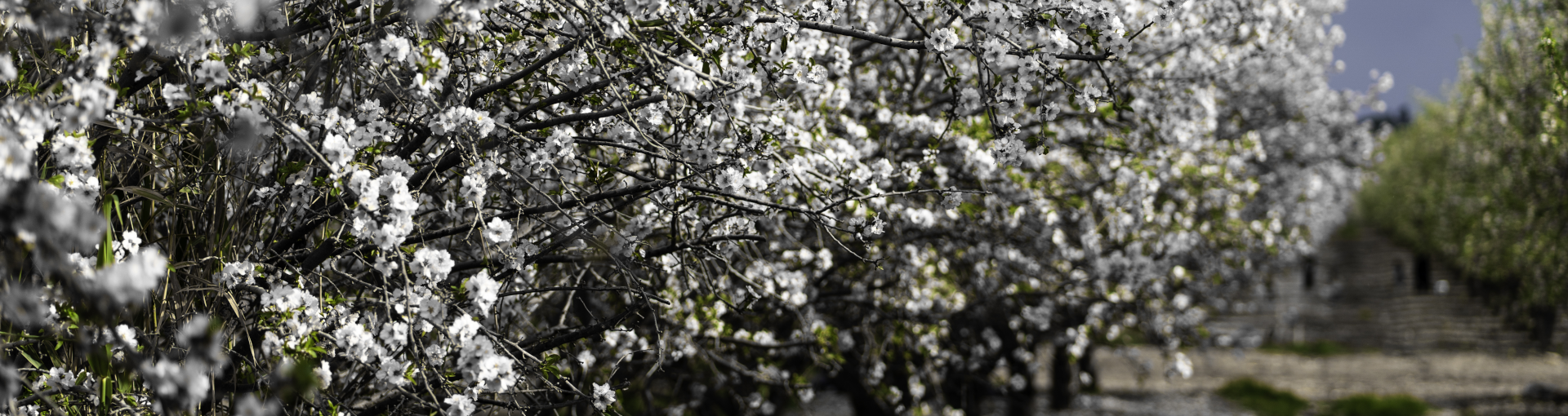 Agriculture - Hero Image