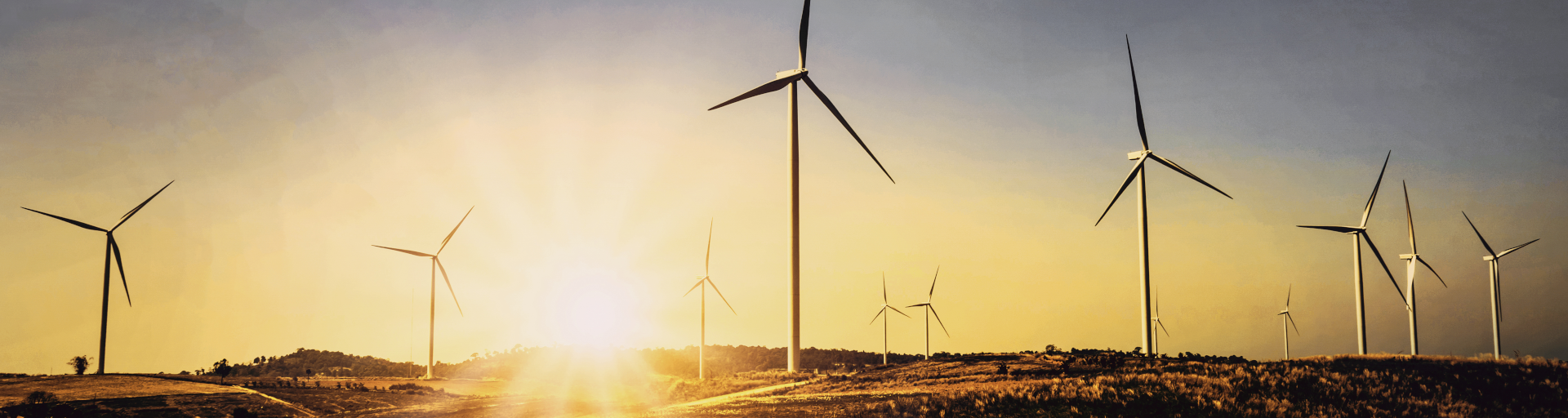 Energy and Natural Resources - Hero Image