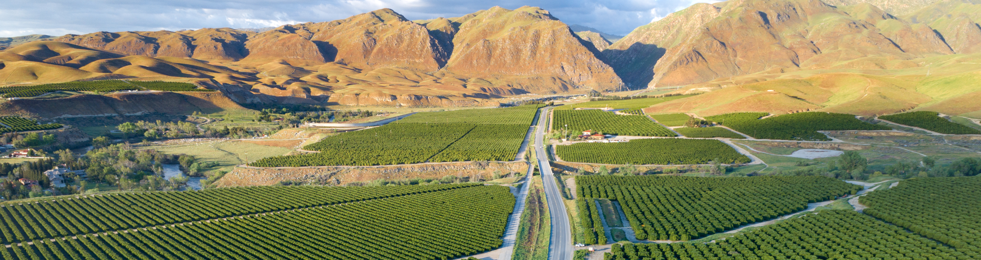 Transportation and Logistics - Hero Image