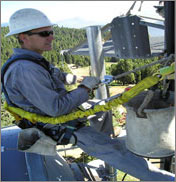 An employee hard at work.