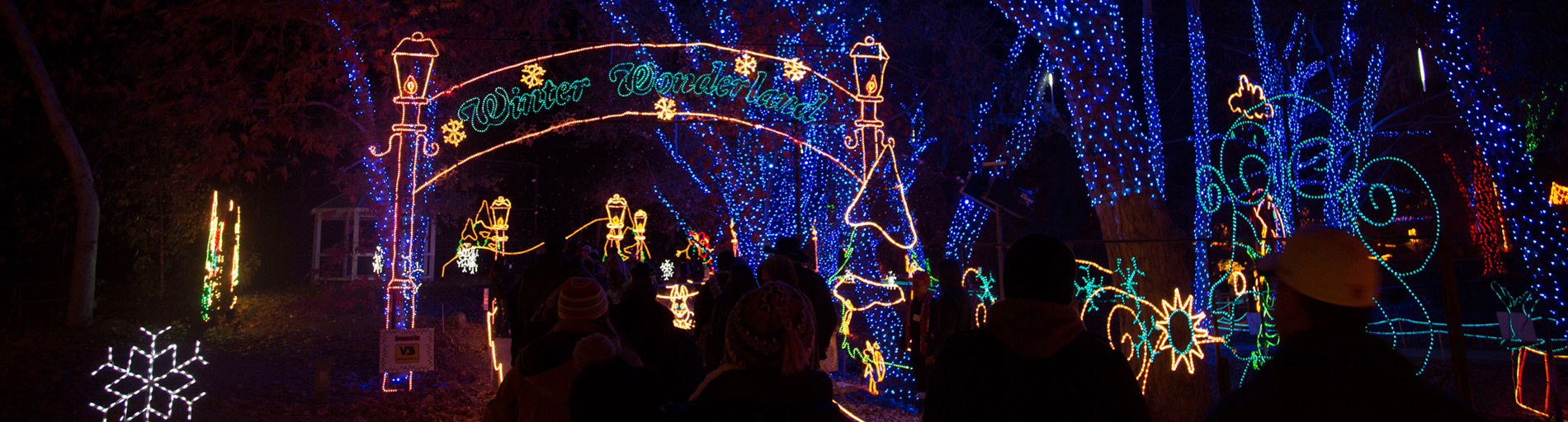 Lights at CALM - Photo By Board of Trade