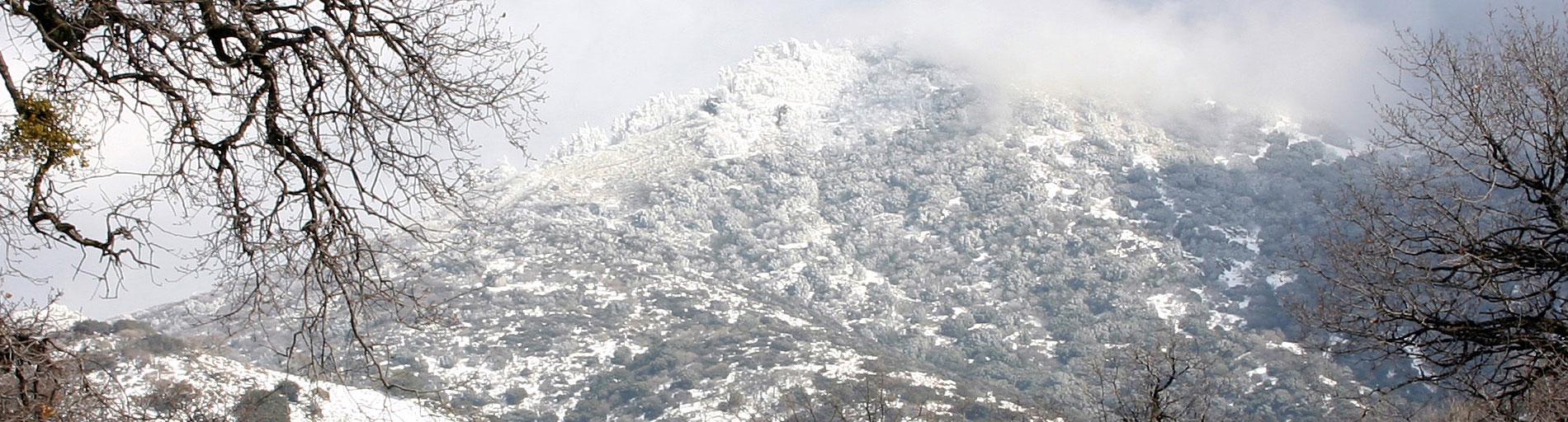 Tehachapi - Photo By Richard Benjamin