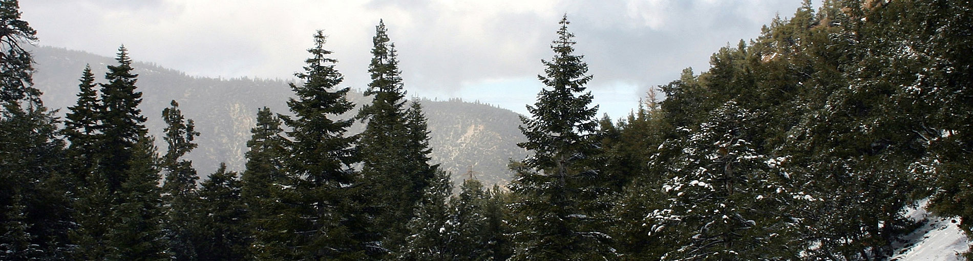 Pine Mountain Club - Photo by Richard Benjamin