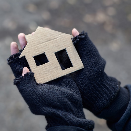 Homeless Collaborative Icon