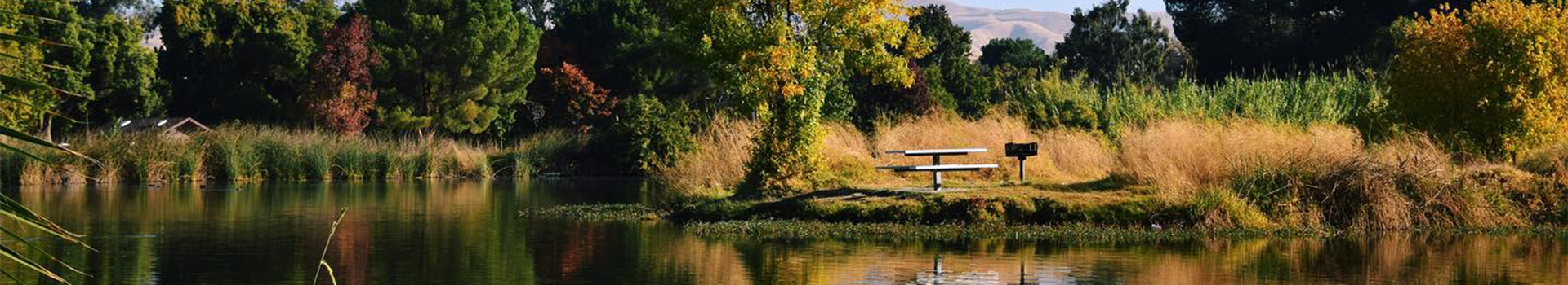 20210922_153133725_iOS